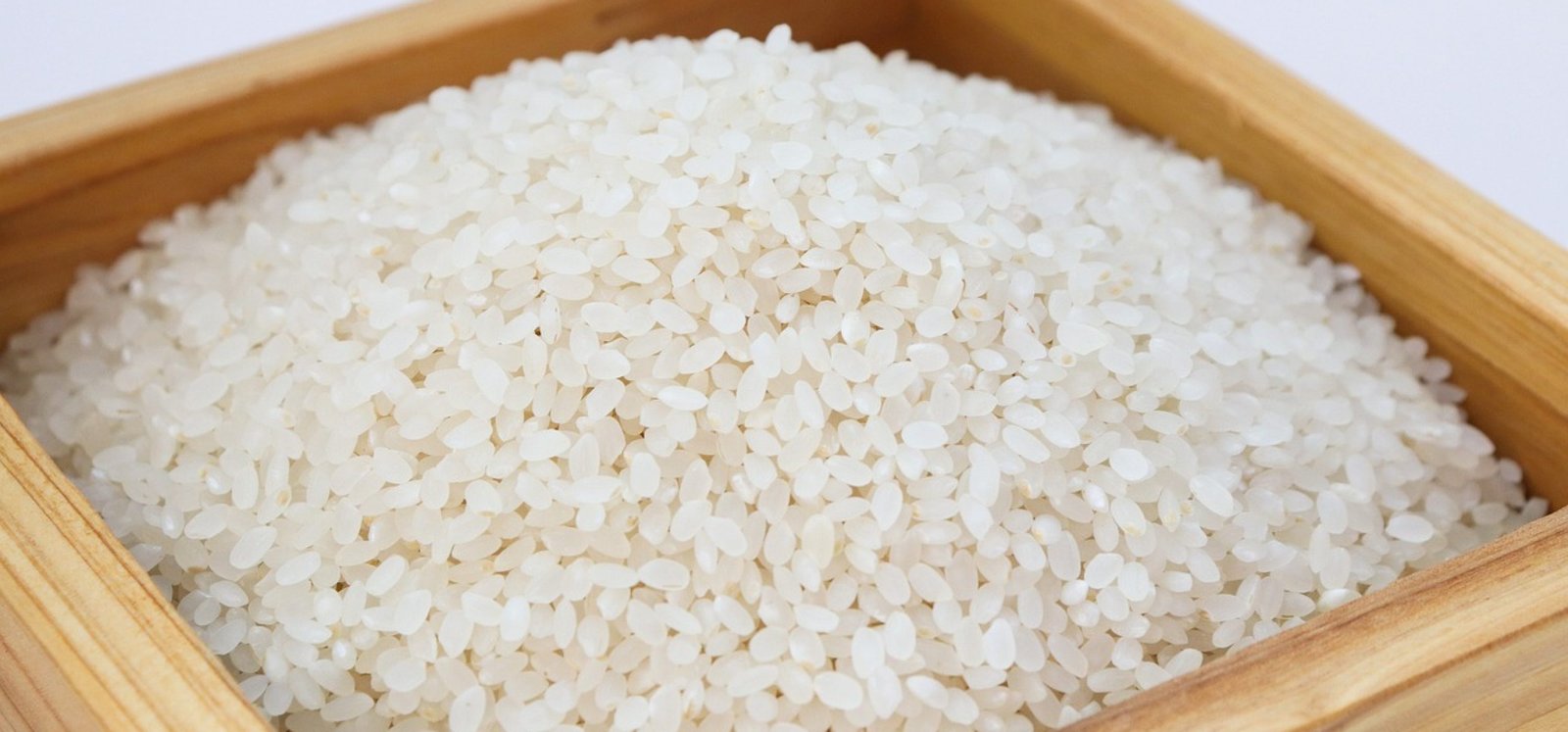 rice-3997767_1280